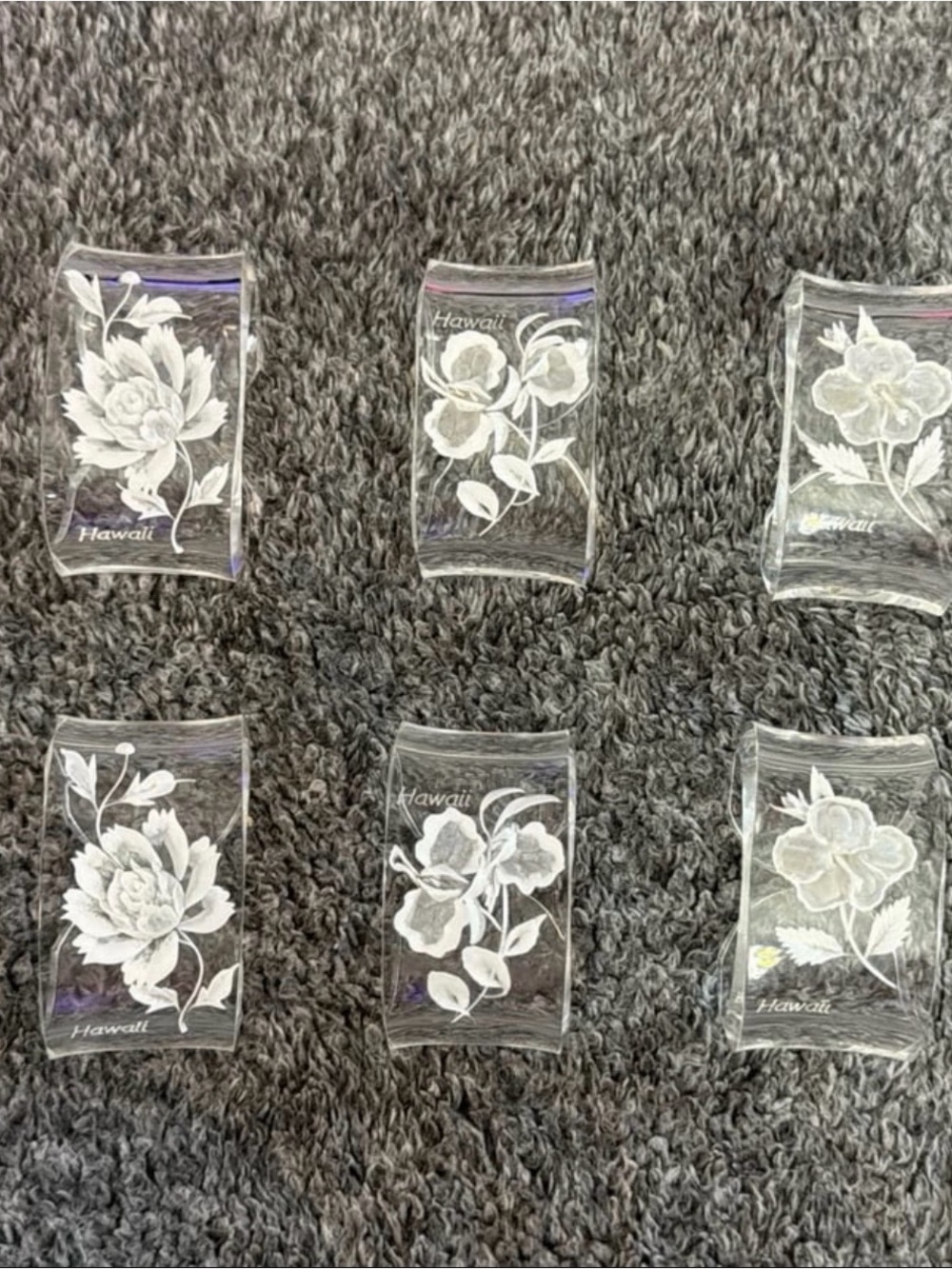 Set of 6 Vintage Transparent Hawaii Floral Lucite Napkin Ring Holders
